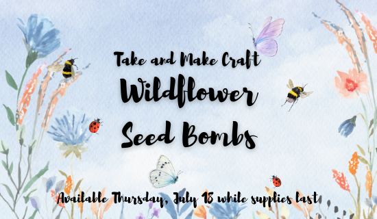 TAM: Wildflower Seed Bombs