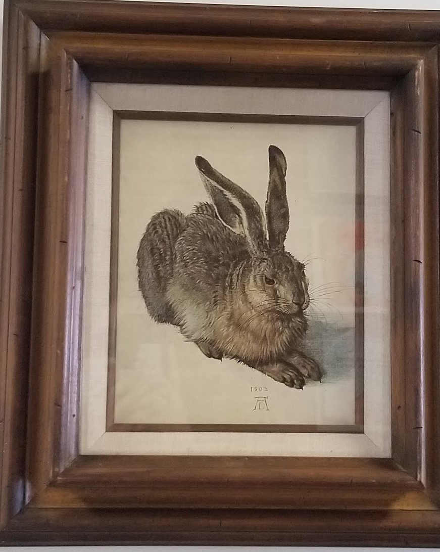 Young hare painitng