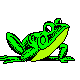 Whole Frog Project
