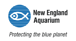 NE Aquarium logo