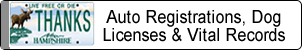 Auto Registrations, Dog Licenses & Vital Records