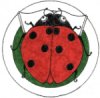 Ladybug Picture Book Award. A ladybug on leaf reading a book.