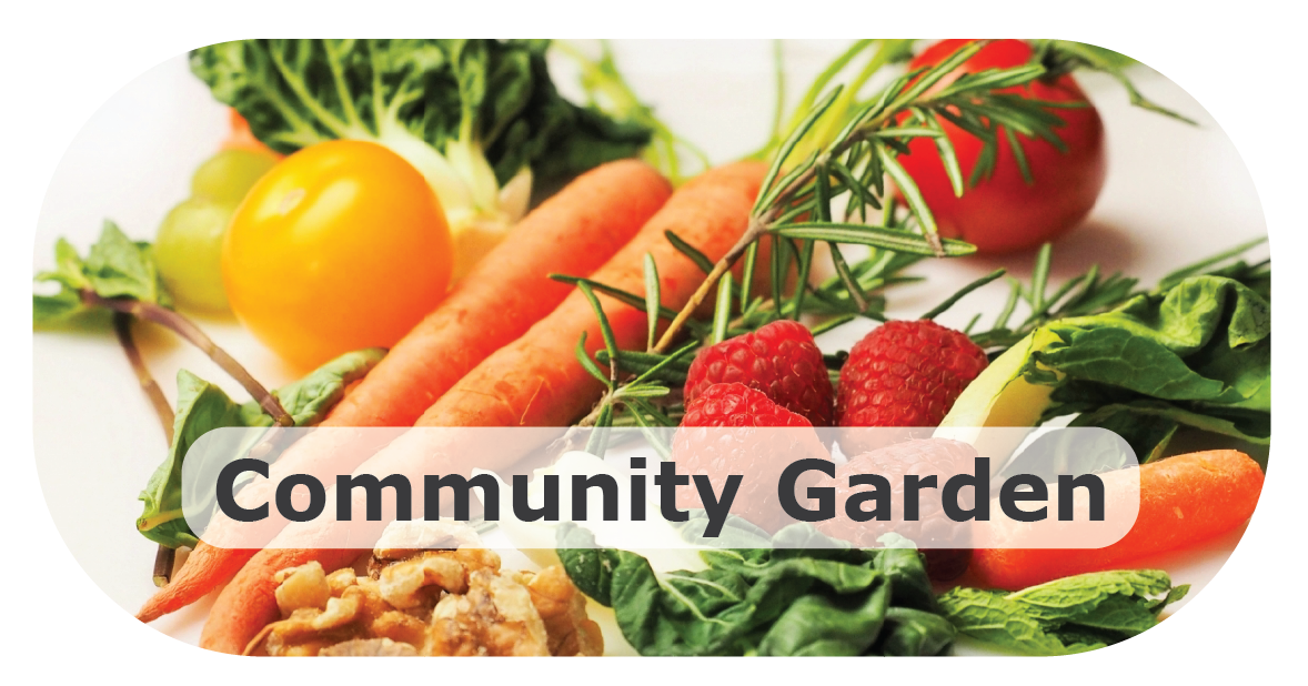 A quick link to our Community Garden page