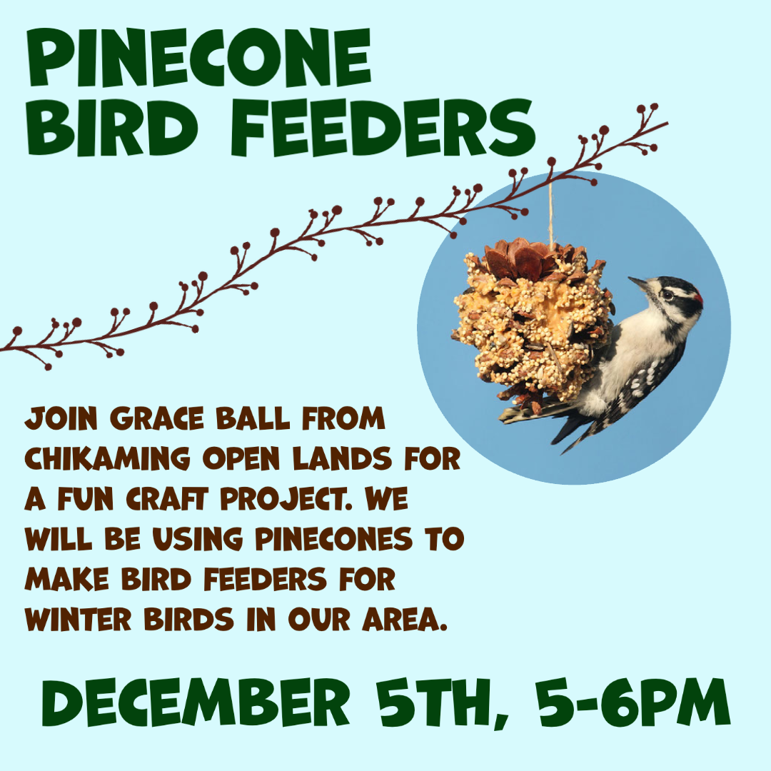 Join us for a fun craft program, making pine cones into bird feeders. December 5 from 5 -6pm