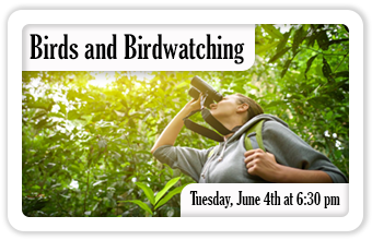 Birds and Birdwatching