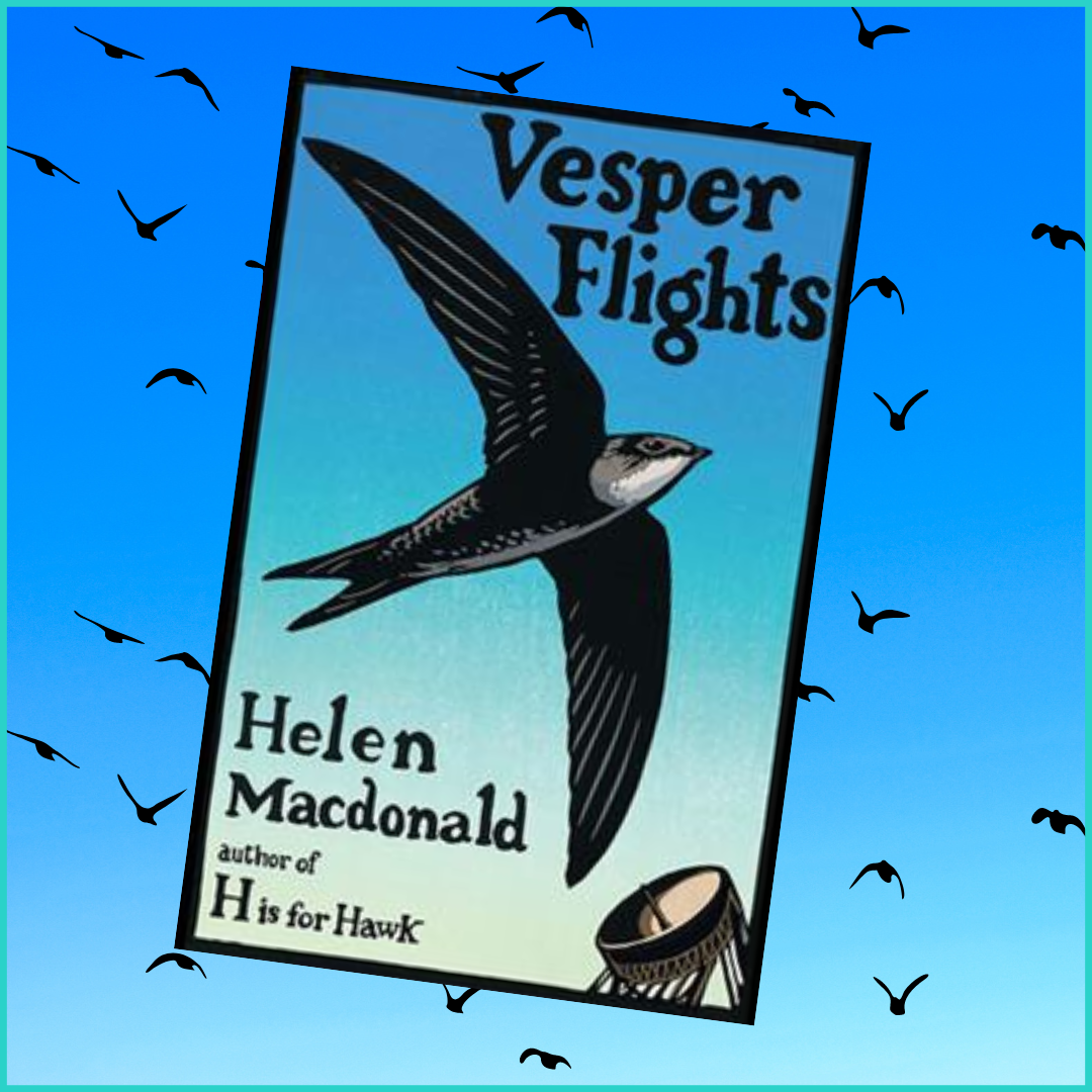 Vesper Flights-Adult Book Club