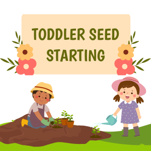 Toddler Seed Starting Program