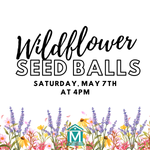 Drop in Wildflower Seed balls