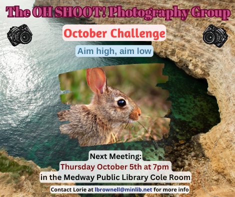The OH SHOOT! Photography Group. October challenge: aim high, aim low. Next Meeting: Thursday October 5th at 7pm  in the Medway Public Library Cole Room. Photo of a bunny and cliff diving