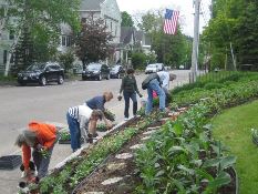Photo of the Friends of the Meredith Library NH planting the garden at the library