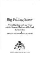 Big Falling Snow by Albert Yava