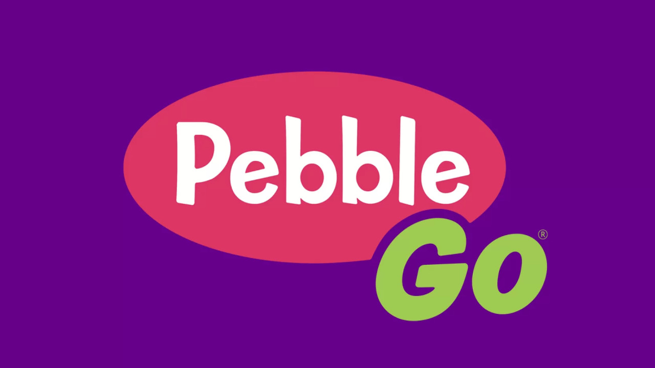 pebblego link