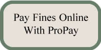 Pay Fines Online with Pro Pay