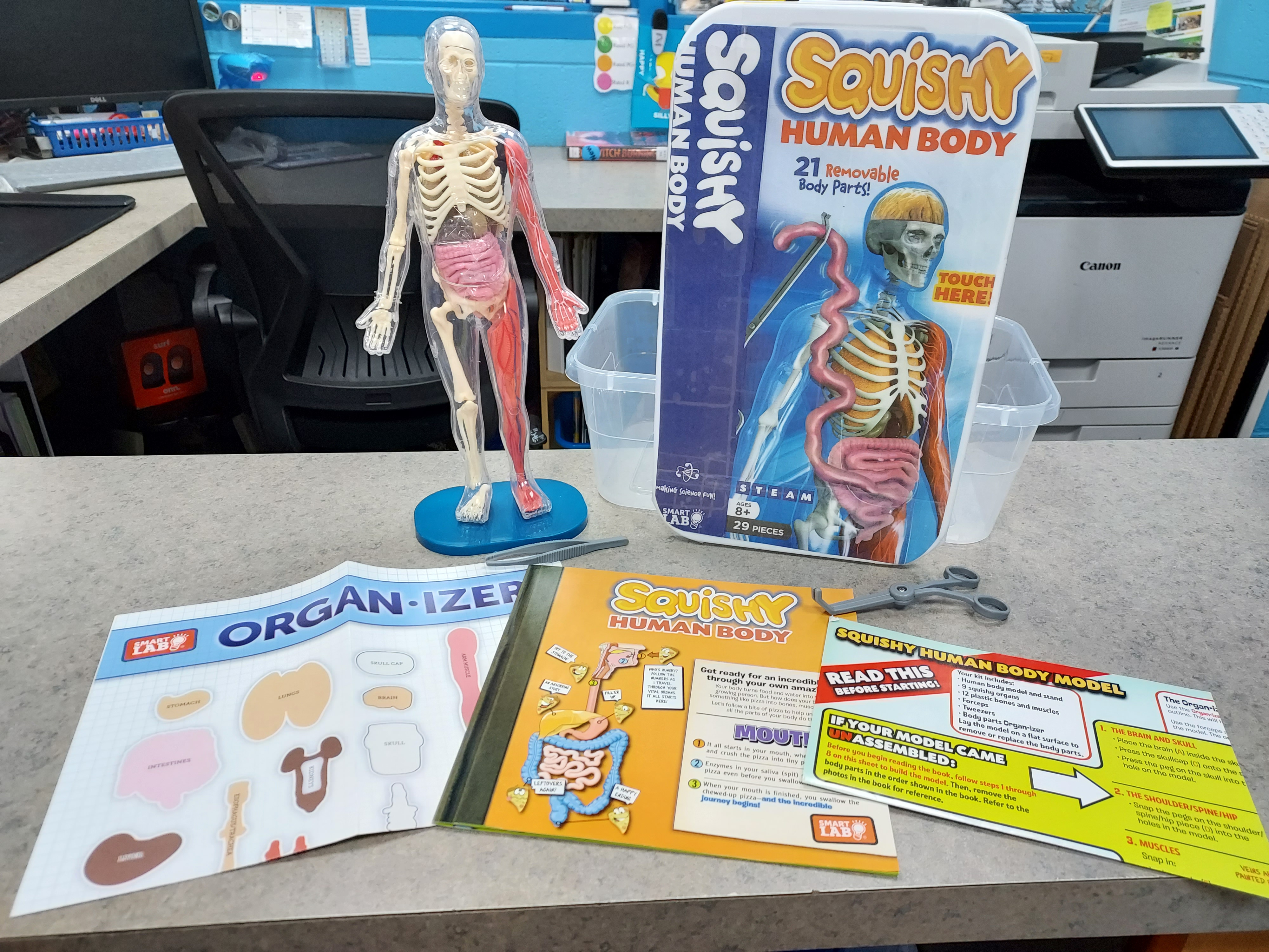 ​​​​​​Image of the Squishy Human Body Educational Toy available for checkout from our Library of Things