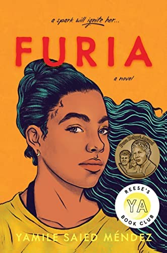 Cover of the book Furia