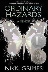 Book Cover for Ordinary Hazards