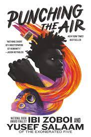 Book Cover for Punching the Air
