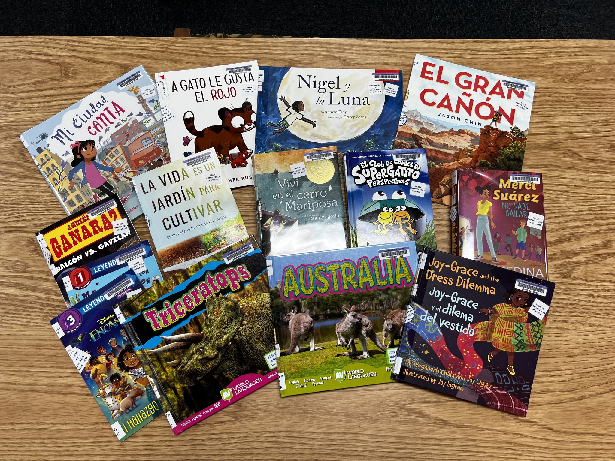 Image showing a selection of our library's new Spanish language books