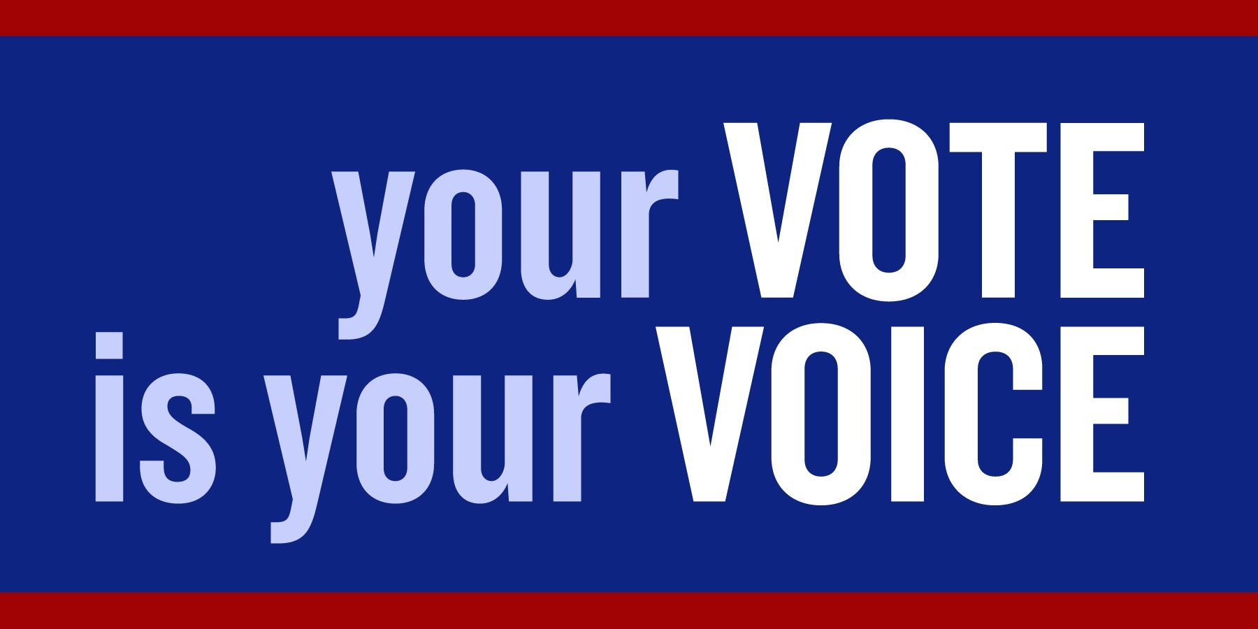 Image saying Your Vote is Your Voice