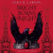 Bright burns the night / Sara B. Larson.