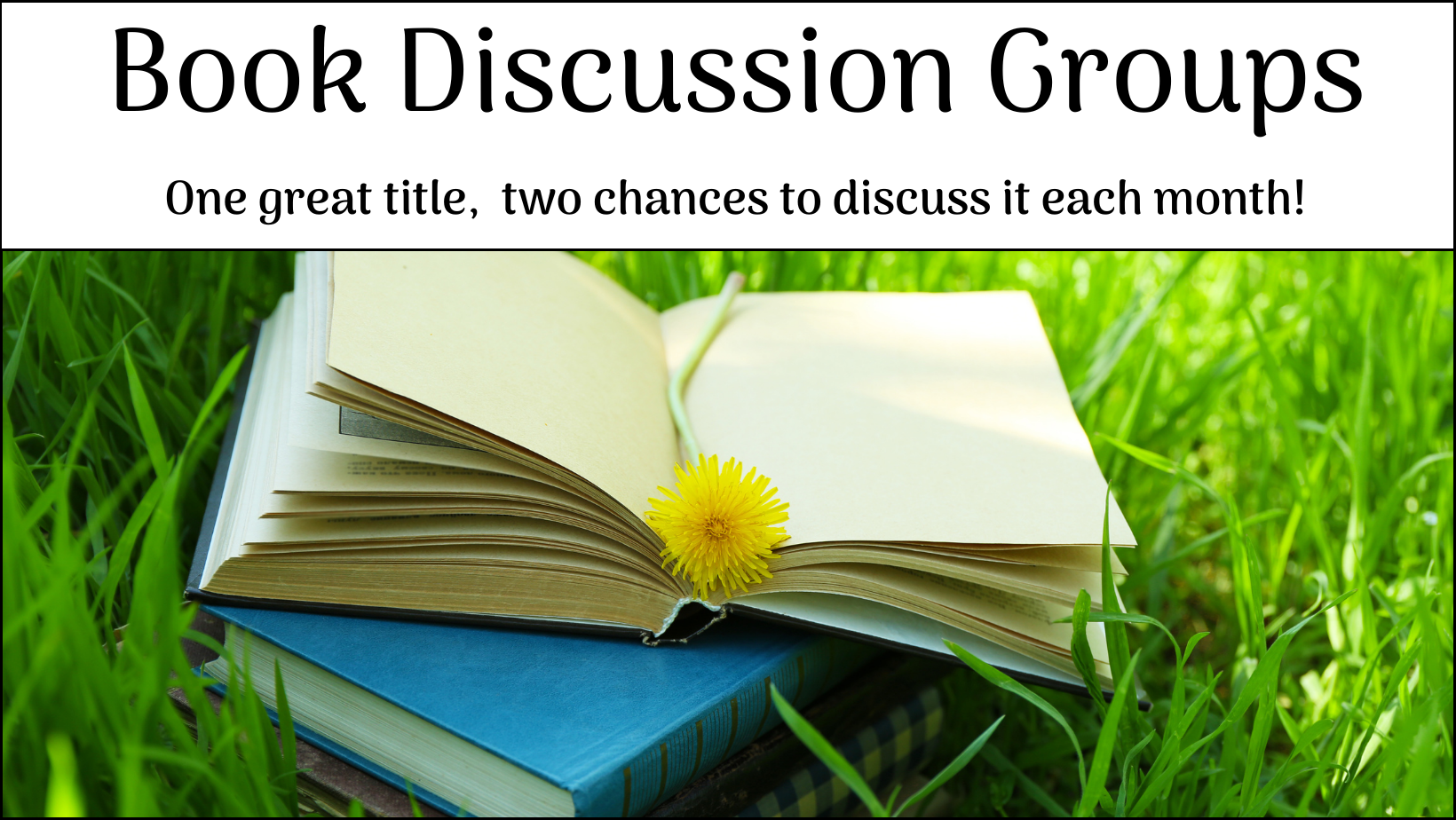 Book Group Discussion