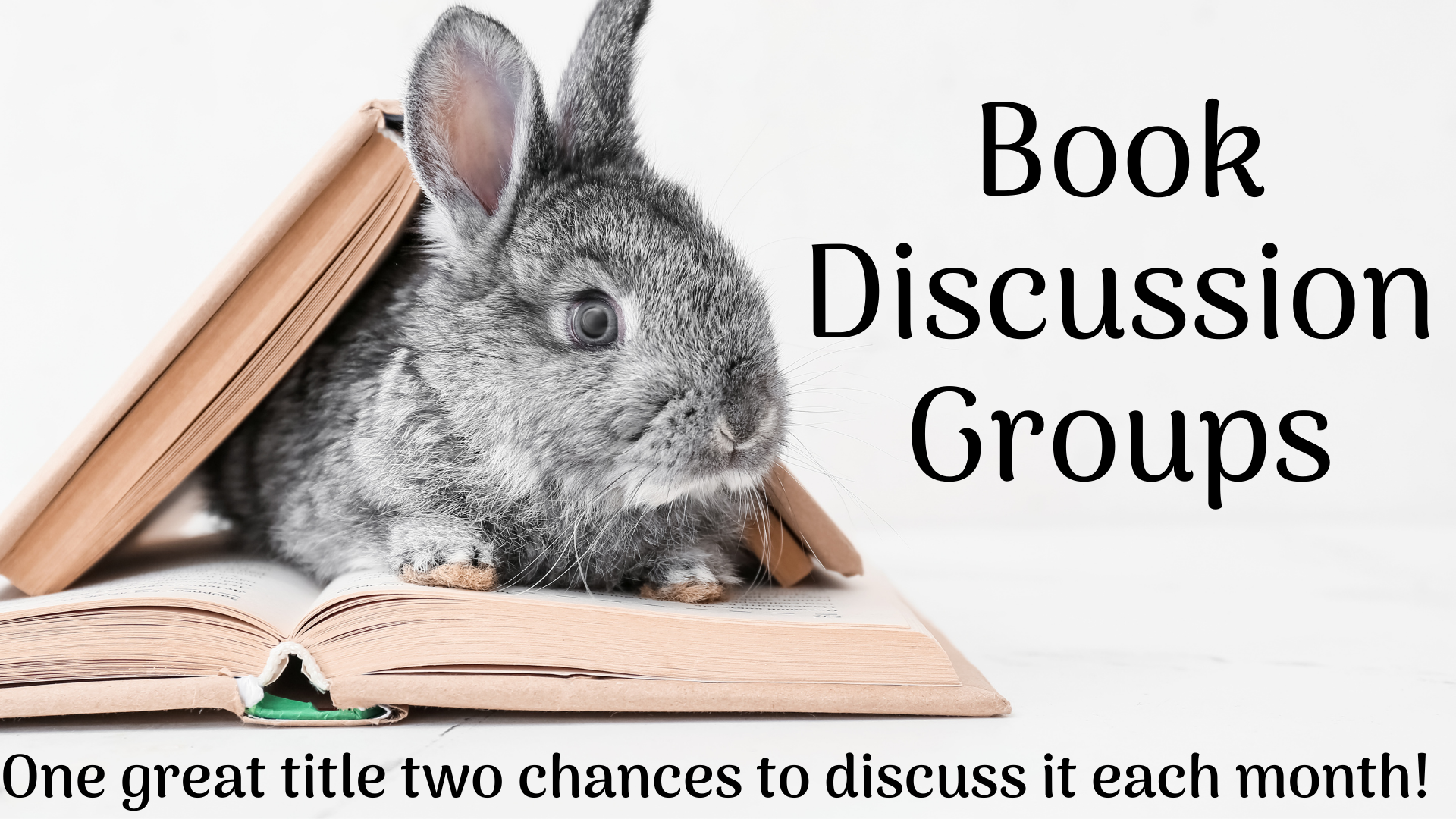 Book Group Discussion
