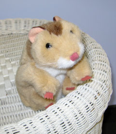 Howie Hampster