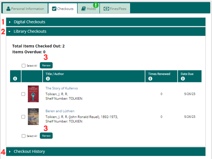 The Checkouts tab of My Account in the online catalog.