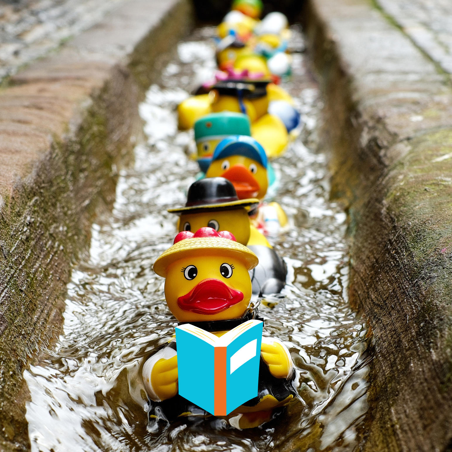 Picture of a rubber ducks in a stream with a book